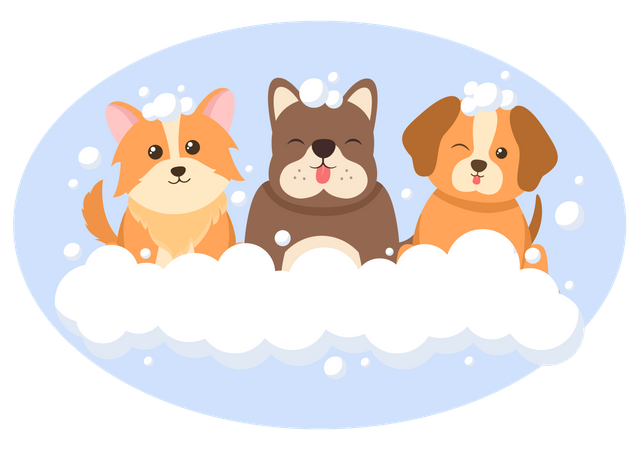 pet-grooming-for-dog-4975427-4164470 pet-grooming-for-dog-4975427-4164470