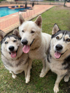 25233B9C-27F9-4B1C-96C3-CC861BB0E46D