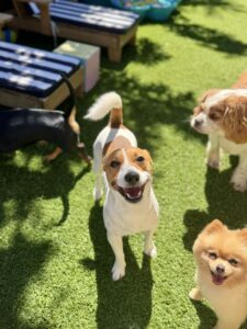 30a1f717-2fe2-44ed-a64f-9008666e7f01