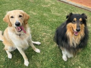 3ed004cd-2486-4adc-9df4-d3793f22e034