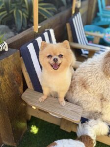 50048d1a-6d93-4d5f-bc74-80ea8627bf68