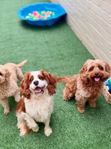 539024578_17929137867098558_6253803836407396955_n