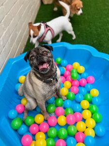 539566274_17929136691098558_5157430671015684853_n