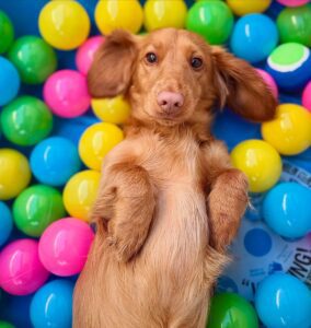 539926134_17929259922098558_1956928792600404525_n