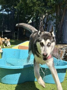 53e0c7a8-e5f0-4826-8b9f-54afbea36c61