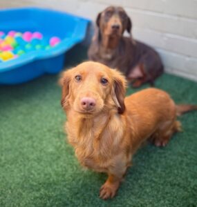 540492081_17929259931098558_4877280241655249386_n