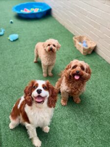 540508652_17929137903098558_5499306886271533325_n