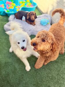 542067775_17930027088098558_6621889316408738259_n