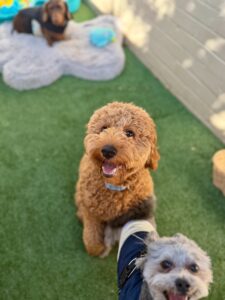 542373192_17930027079098558_2038556206426515853_n