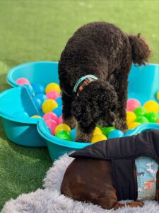 542582440_17930027106098558_5975634846187637372_n