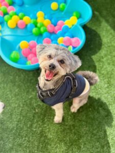 542809770_17930027055098558_3491087786109462851_n