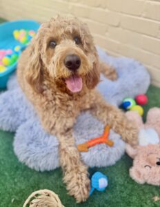 549379246_17931653388098558_3476170409584313850_n