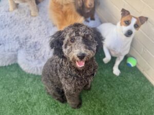 550662925_17931932373098558_3540056286666504349_n