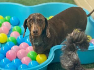 550715759_17931932382098558_5028416088948410193_n