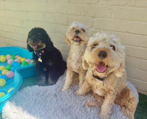 550824554_17931935013098558_7417928838397446014_n