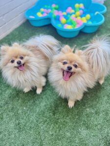 551027123_17931877812098558_1269235998907113256_n