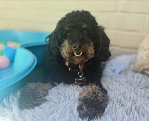 551941200_17931935022098558_1418947465103435243_n