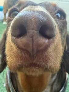 559153907_17933486193098558_4948566999984253786_n