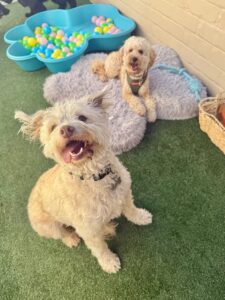 560435035_17934299391098558_5211130070917504810_n