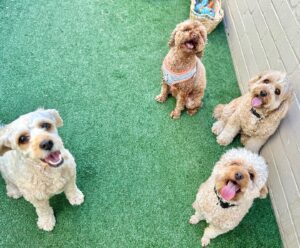 560483674_17934297972098558_1044019275272763353_n