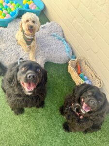 560553404_17934299502098558_1527000208365928270_n