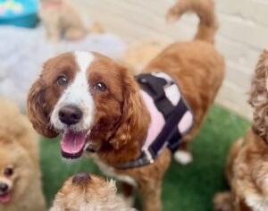 561189306_17934298803098558_4924011579977064440_n