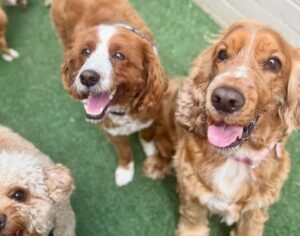 561287445_17934298821098558_7106289806900498931_n