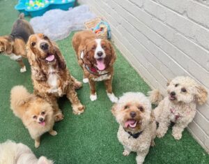 561605510_17934298731098558_3501458504149610124_n