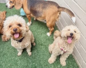 561952305_17934298794098558_7185668814223923586_n