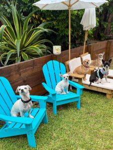 571822361_17936580501098558_2605885465664609392_n