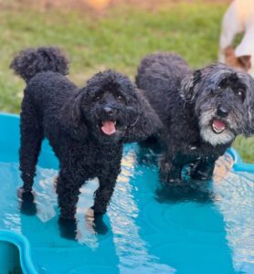 586720703_17942025804098558_6311630357209524152_n