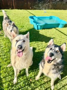 587810552_17940676503098558_1485315909222948693_n