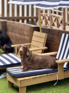 5a5ff893-0a50-4f58-b214-64346417d480