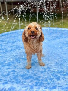 604297909_17942654841098558_8668116553042105848_n