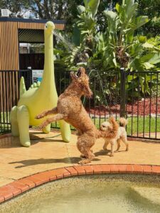 607611511_17943460080098558_3020360980516948120_n