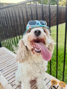 611227234_17944595199098558_9108559370453918463_n