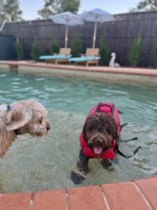 611270082_17944595226098558_830920010117728322_n