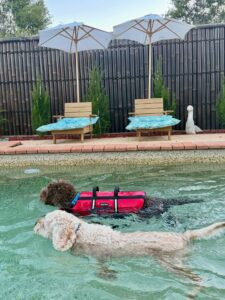 612812453_17944595208098558_9017607327126568727_n