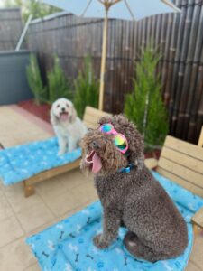 613145822_17944595118098558_8894733833048642193_n