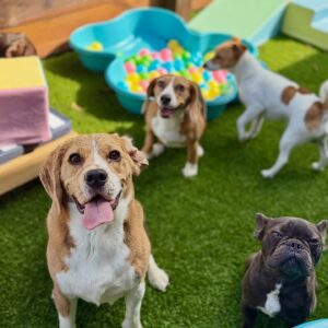 629741206_17949827244098558_5508176207256098974_n