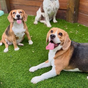 629893495_17949827577098558_7425865824809988068_n