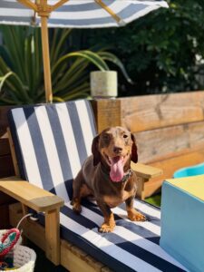 630118062_17949832428098558_6287873111967548146_n