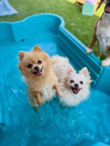 630158943_17949832446098558_4772174732701551681_n