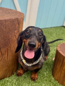 630206453_17949832437098558_3794584513755070785_n