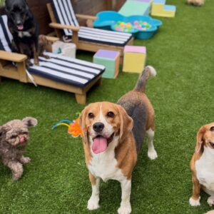 630211253_17949827565098558_1776252919859513761_n