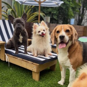 630383829_17949827547098558_5231323659474154454_n