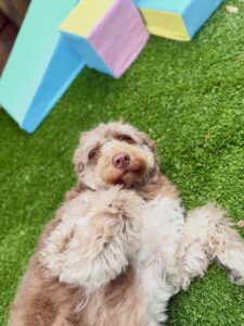 630449780_17949832407098558_2247471341777255826_n