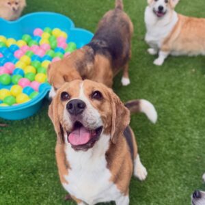 630706090_17949827208098558_8149275074870306263_n