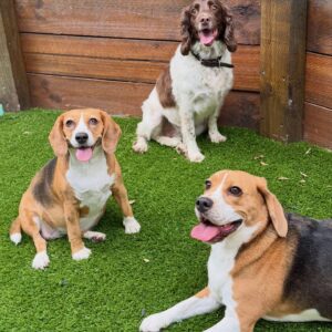 631001921_17949827217098558_3224569545582016455_n