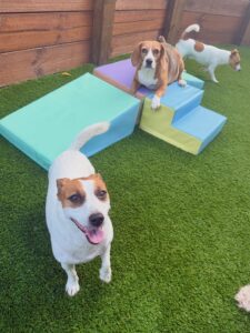 631136289_17949832482098558_8047519716251318129_n